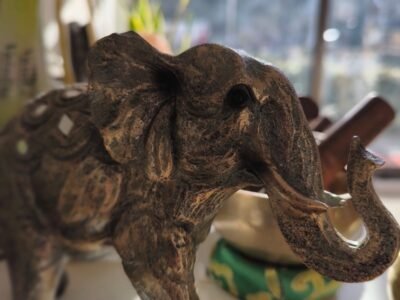 Elefante